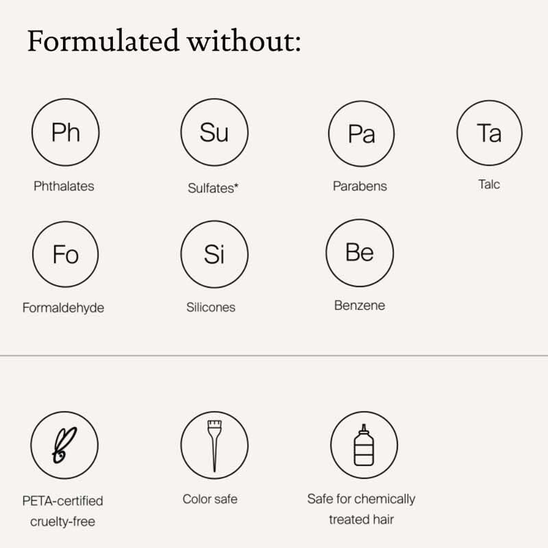 Ezee Nature Bliss Living Proof Perfect Hair Day Dry Shampoo for Unisex 9.9 Oz