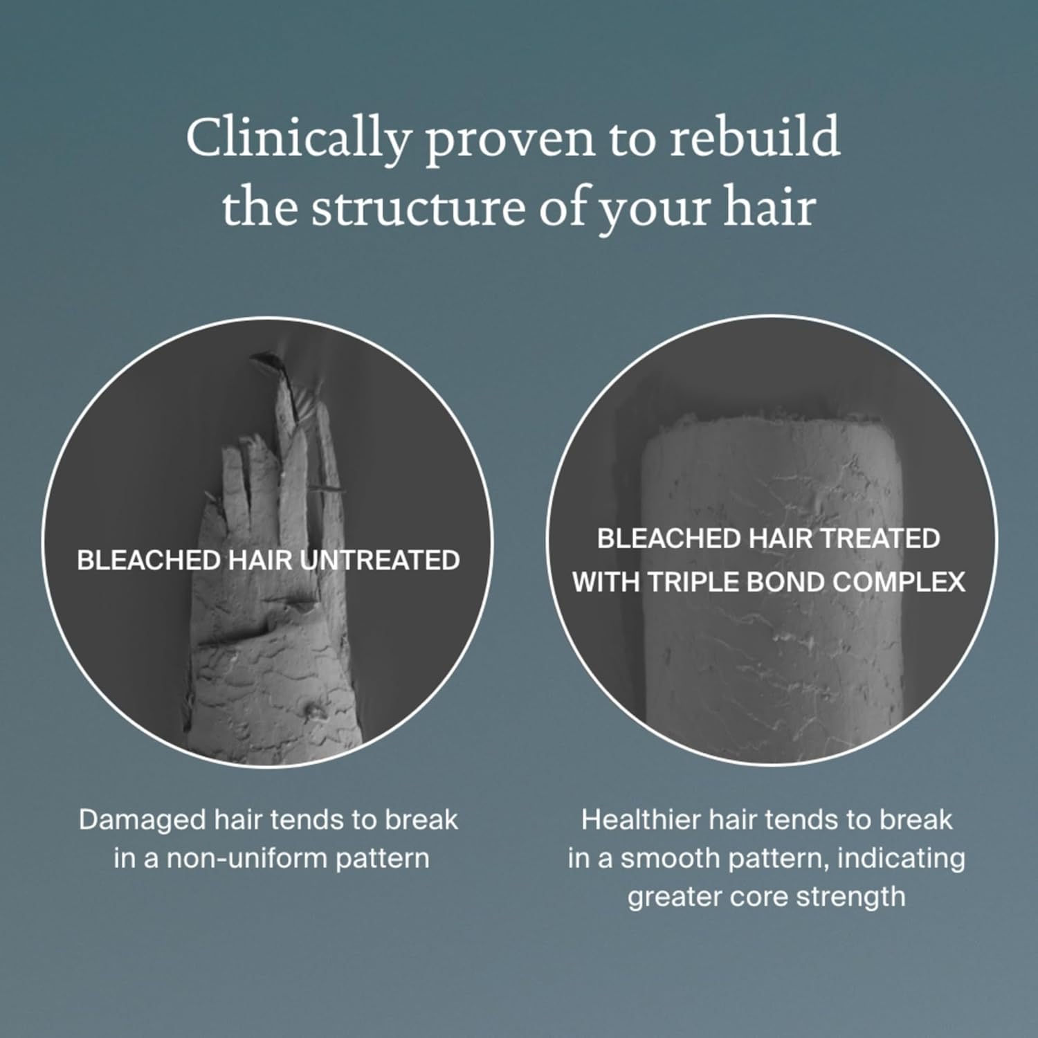 Ezee Nature Bliss Living Proof Bond Builder – Leave-In Hair Treatment